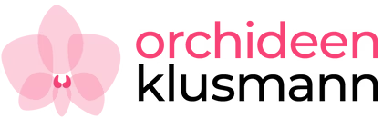 Orchideen Klusmann