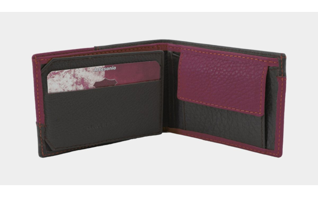 Cartera, billetera, tarjetero, monedero tipo americano morado